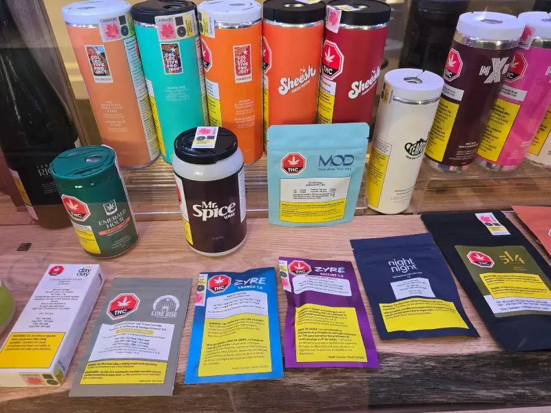 Personalized Consultations Just For You Personalized Consultations Just For You<br />