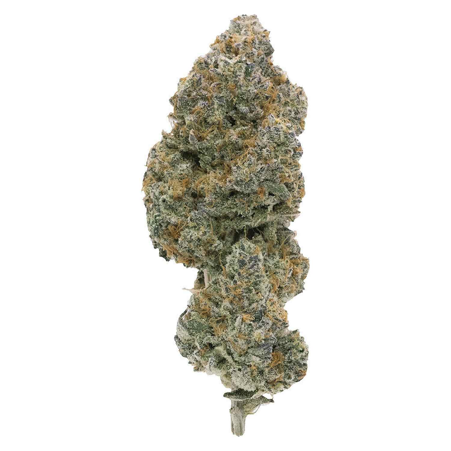 Northern Canna Northern Canna