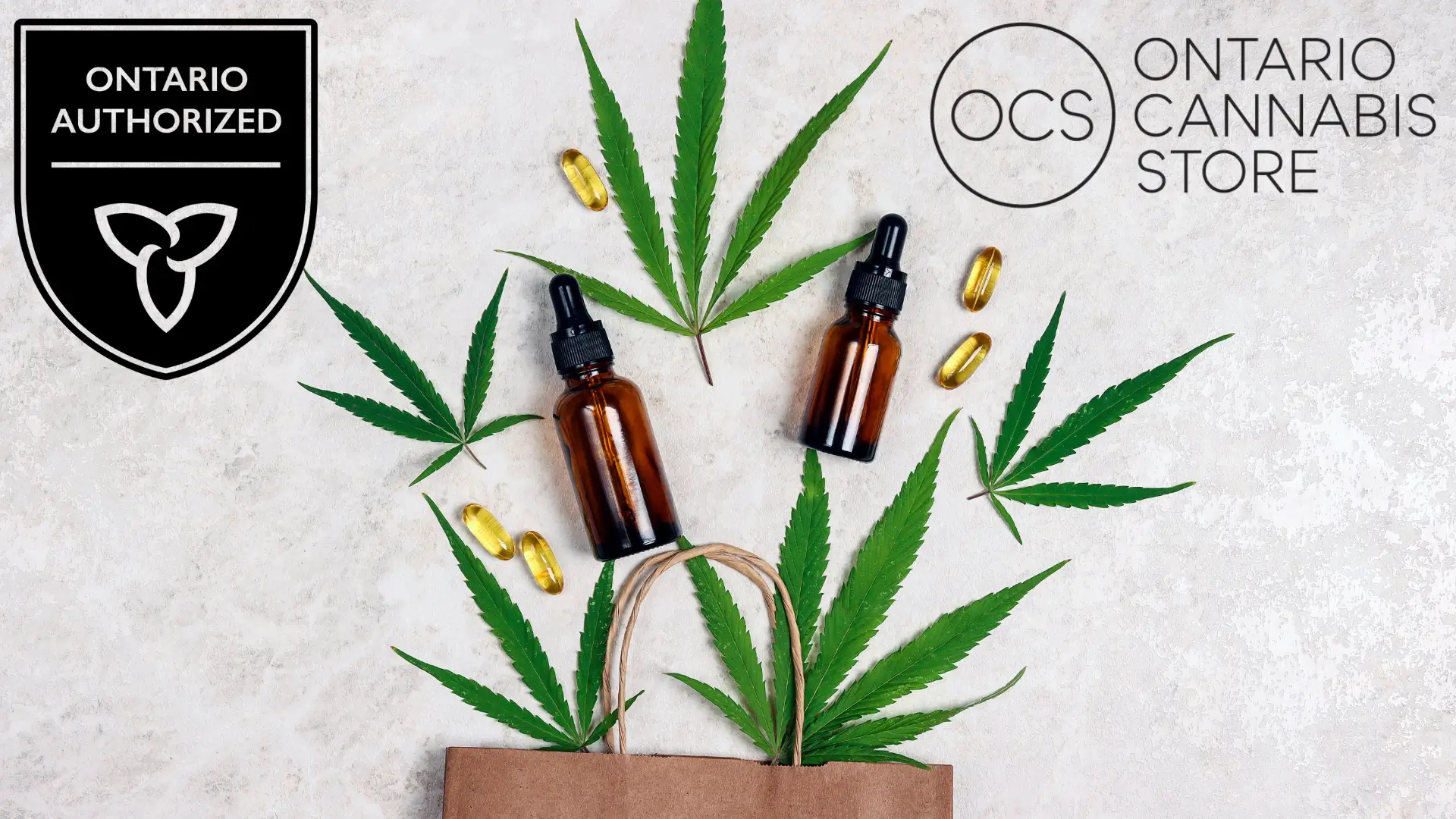 What is the difference between a legal store and an illegal store? What is the difference between a legal store and an illegal store?