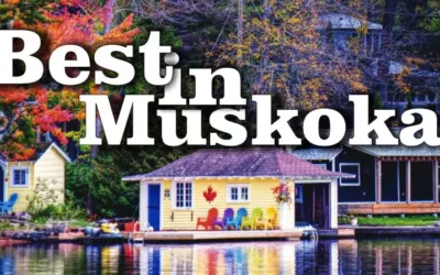 Best Dispensaries Muskoka