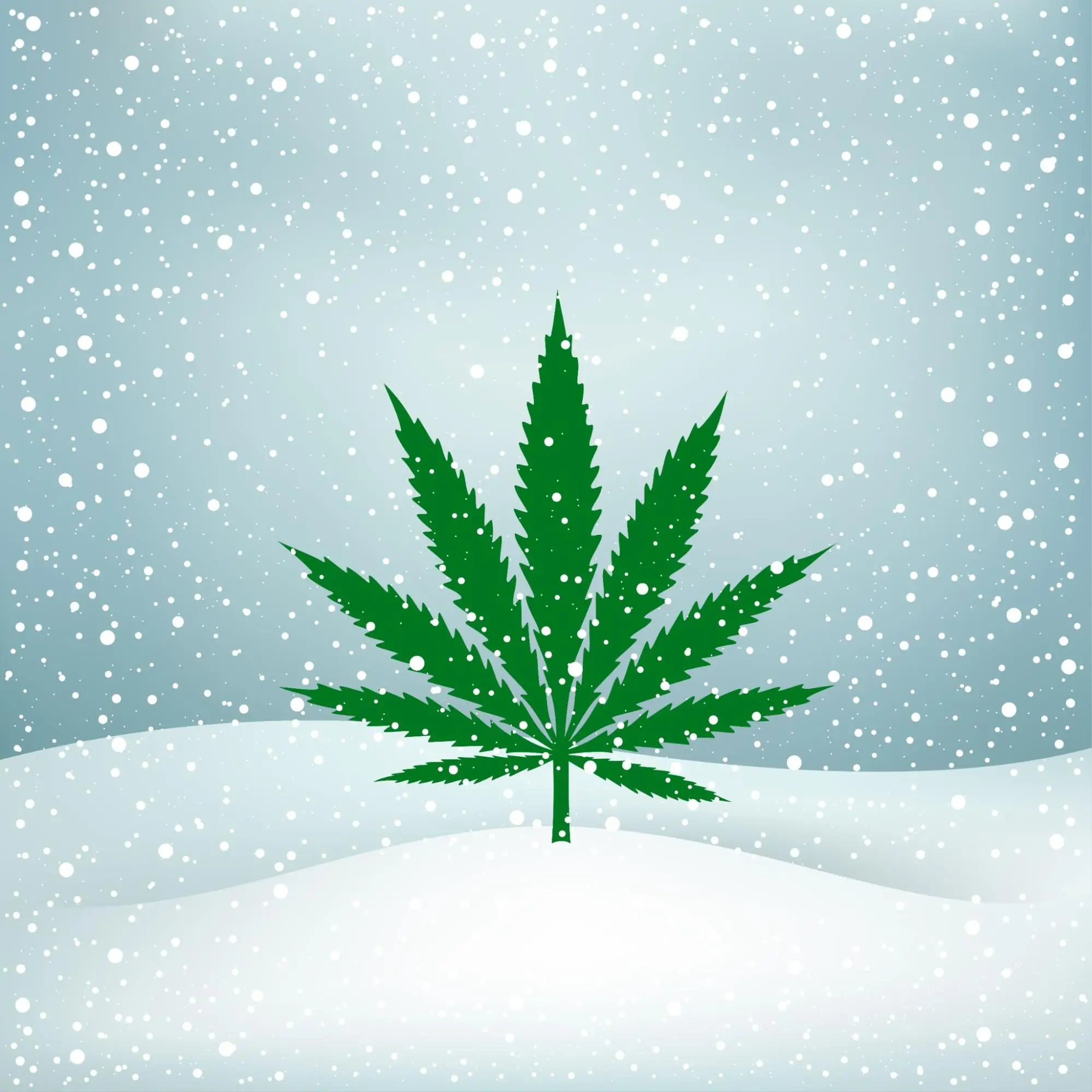 Beat the Winter Blues with Cannabis:  Strains for Stress and Mood Boosting Beat the Winter Blues with Cannabis: Strains for Stress and Mood Boosting