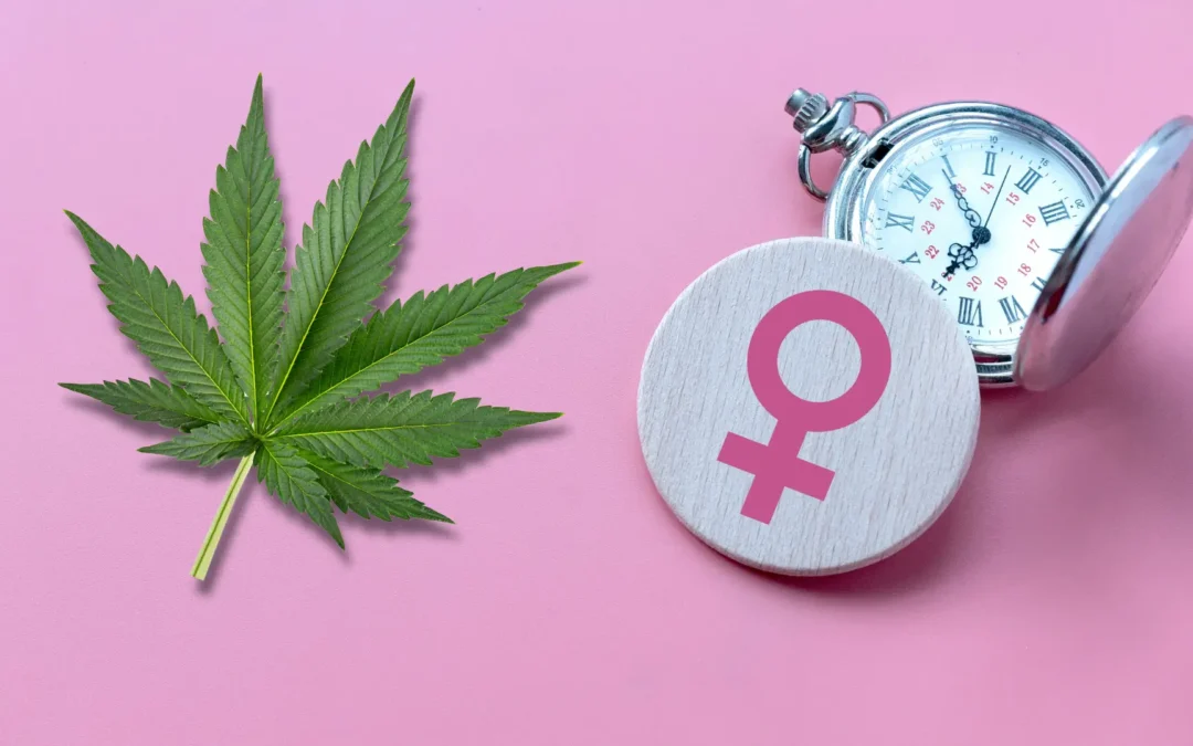 Cannabis and Menopause: An Approach to Symptom Relief