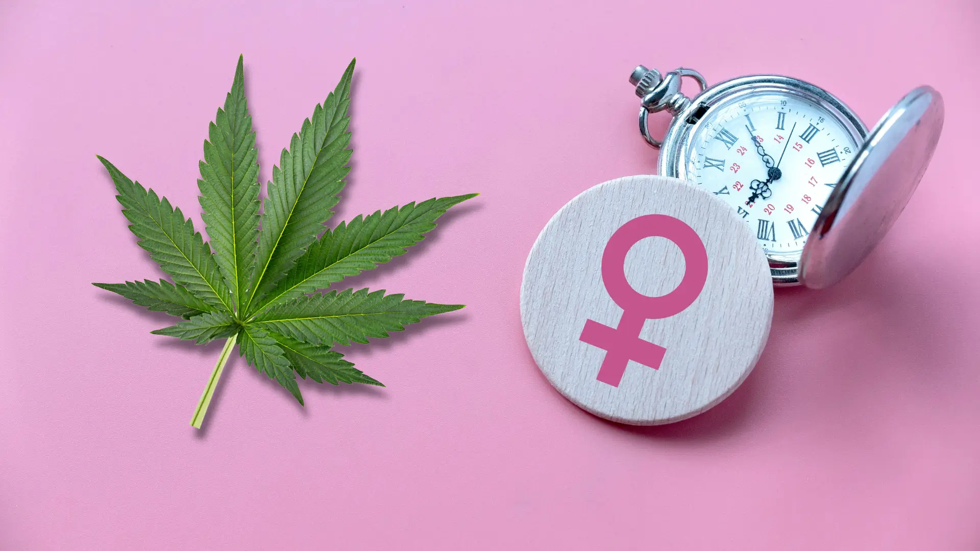 Cannabis and Menopause: An Approach to Symptom Relief Cannabis and Menopause: An Approach to Symptom Relief