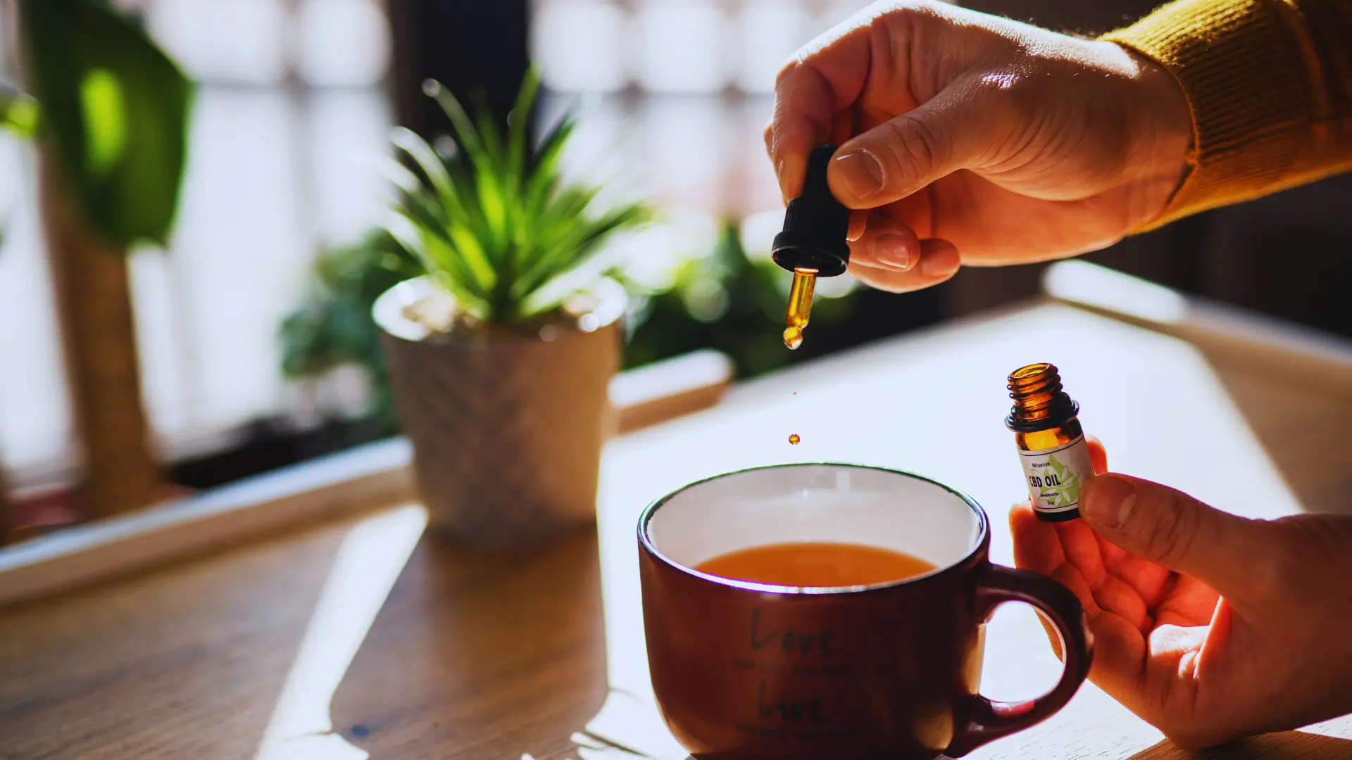 Health Canada Explores An Avenue For Non-Prescription CBD: What It Means for You